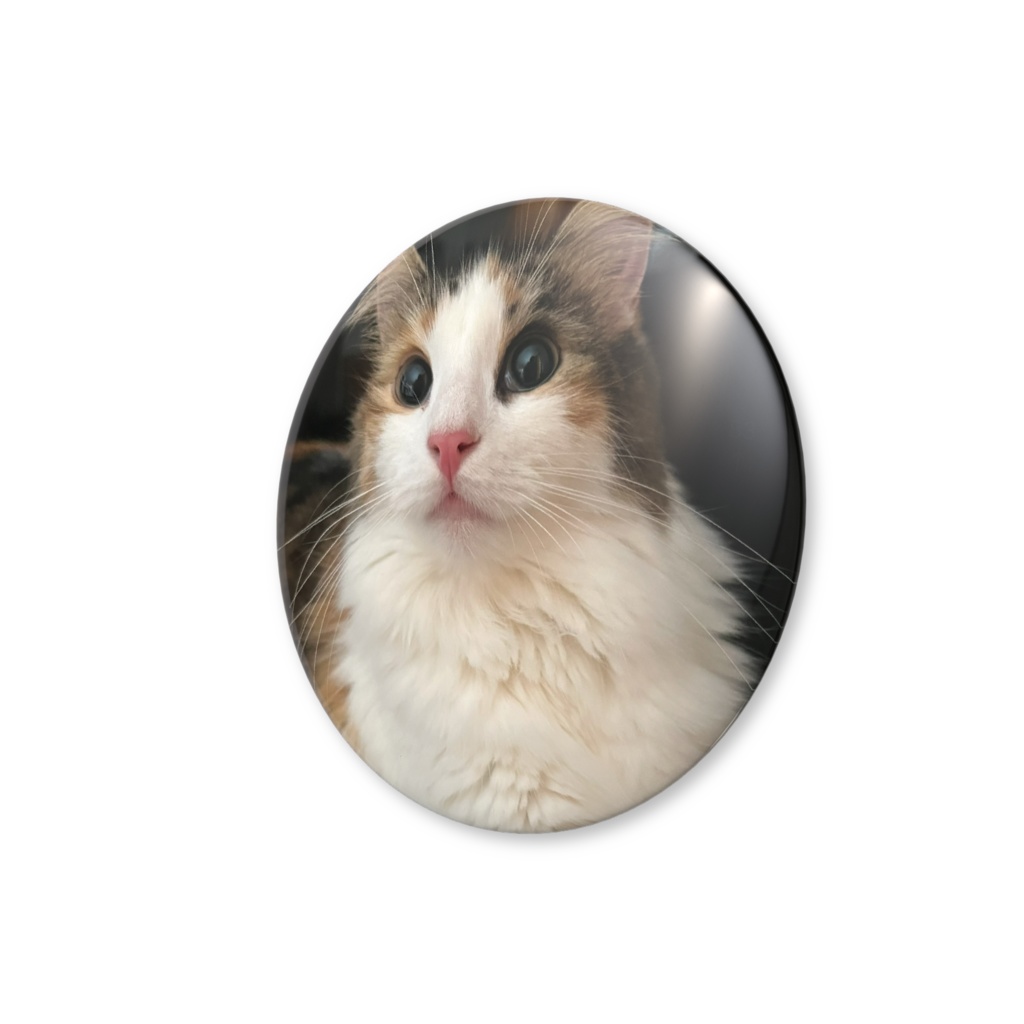 森の妖精 ノンちゃん