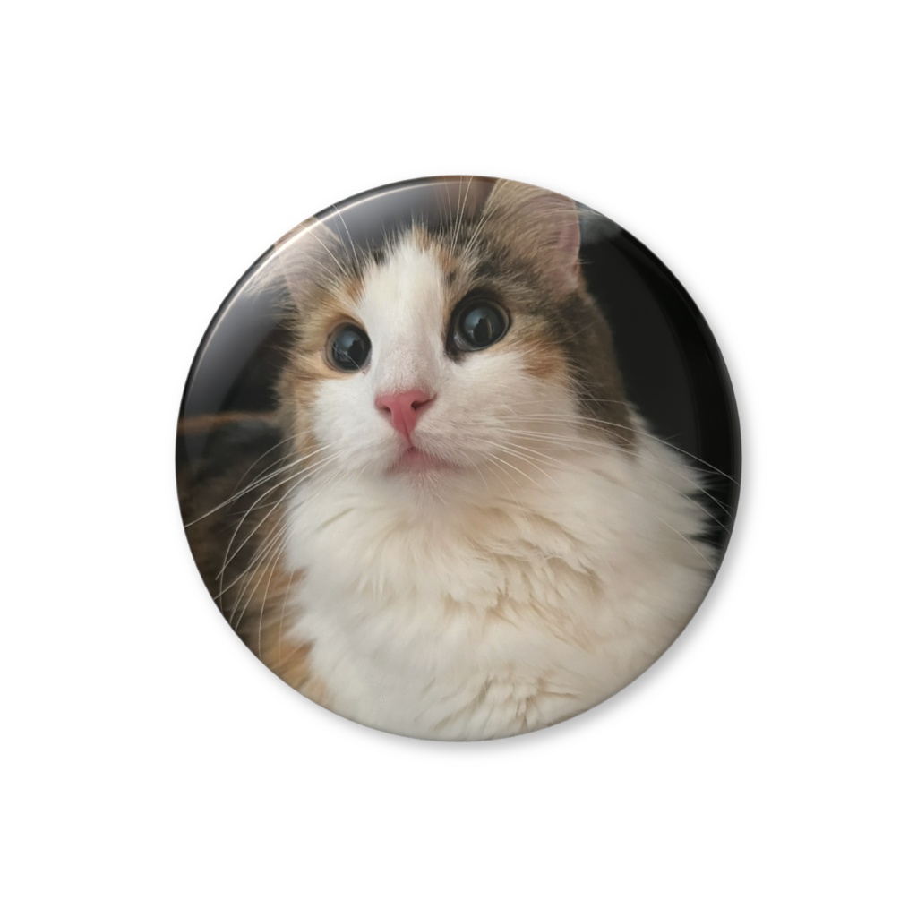 森の妖精  ノンちゃん