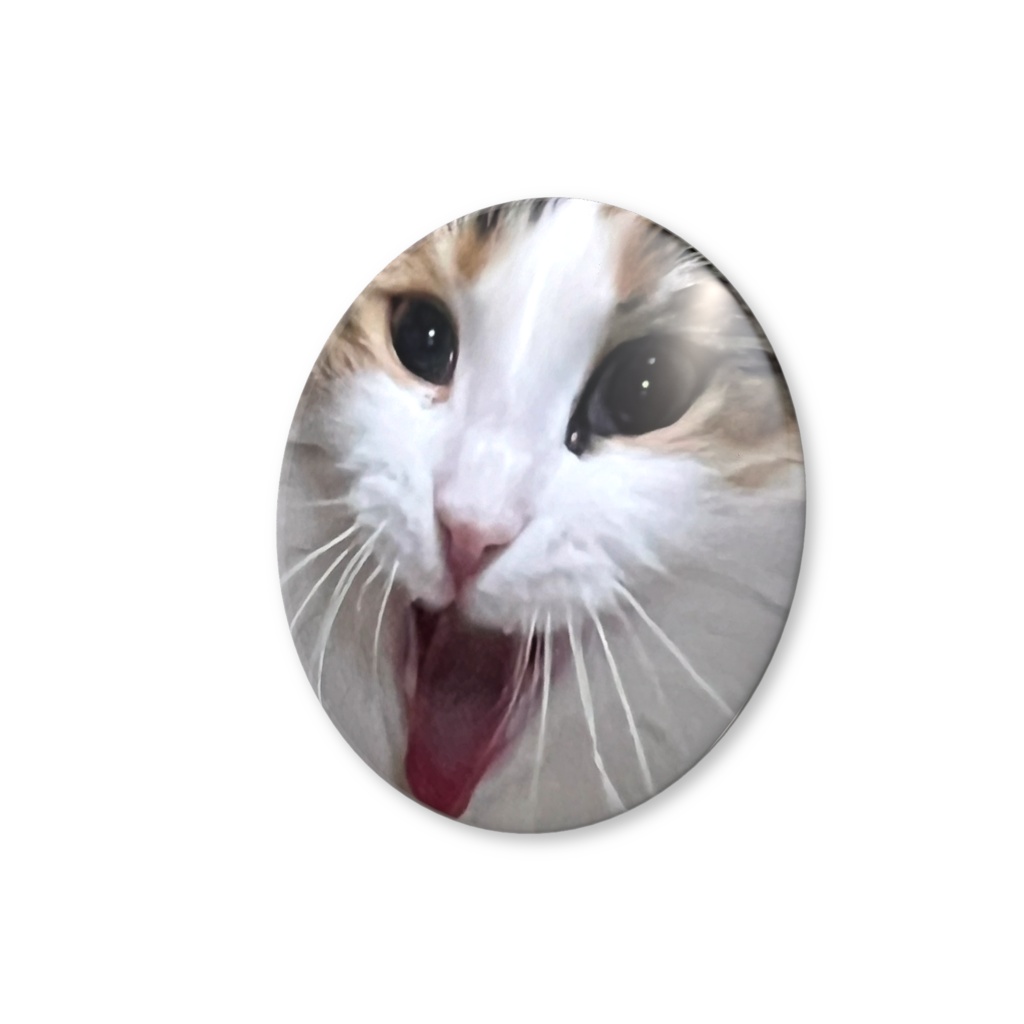 森の妖精 ノンちゃんB