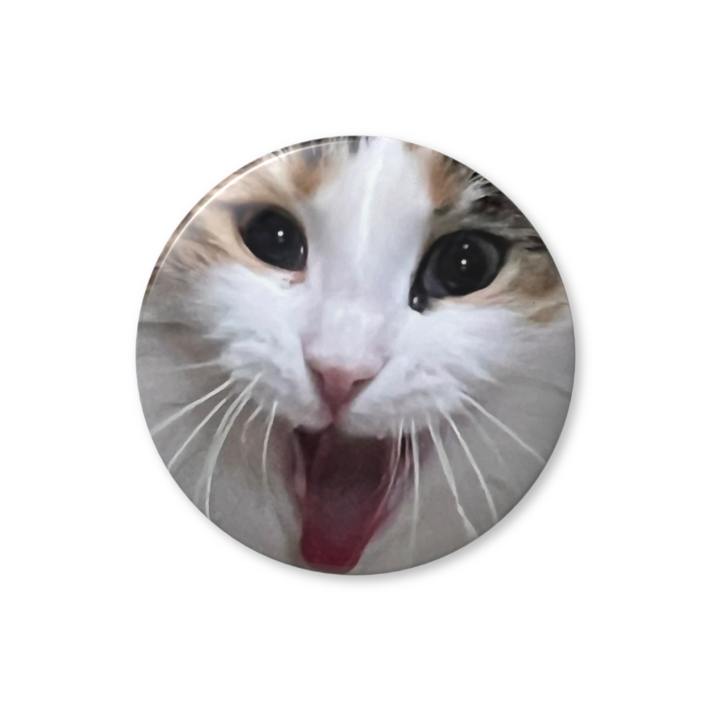 森の妖精 ノンちゃんB