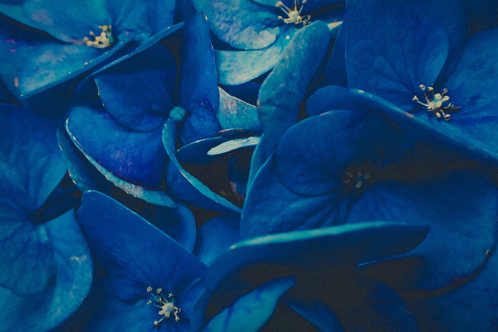 【コード:NEK22FB23】東京