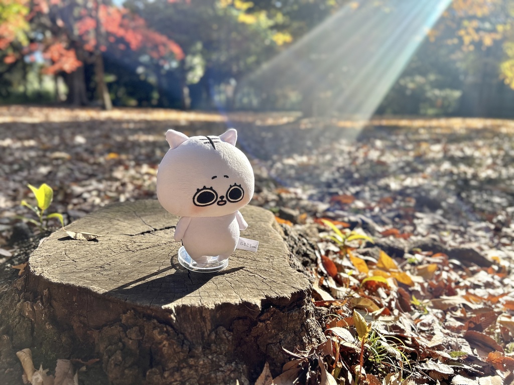 しろとらちゃんぬいぐるみ