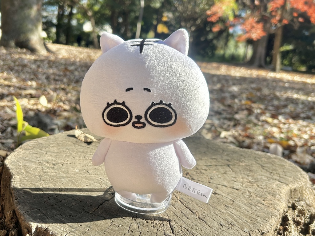 しろとらちゃんぬいぐるみ