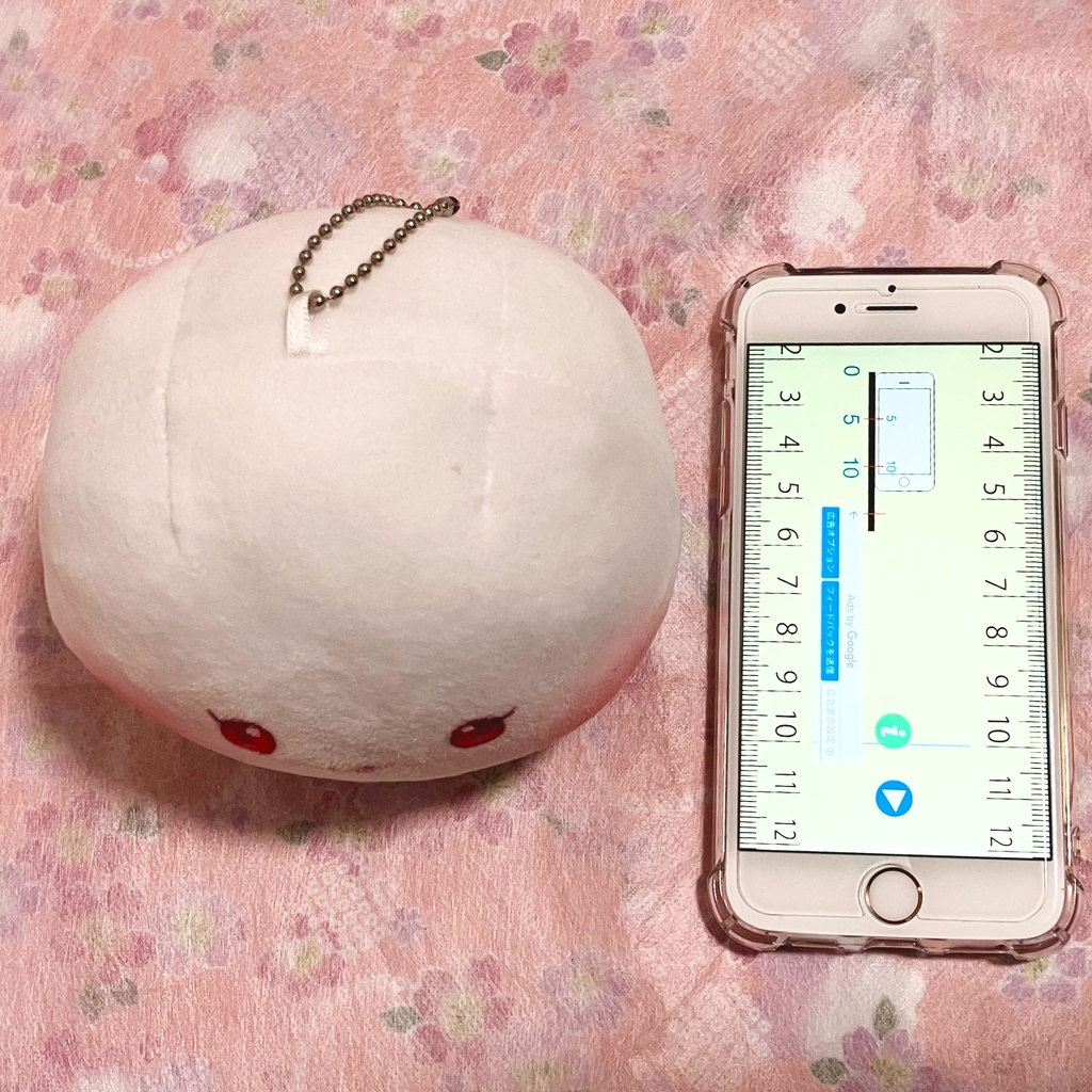 もちこLive2Dデビュー記念グッズ