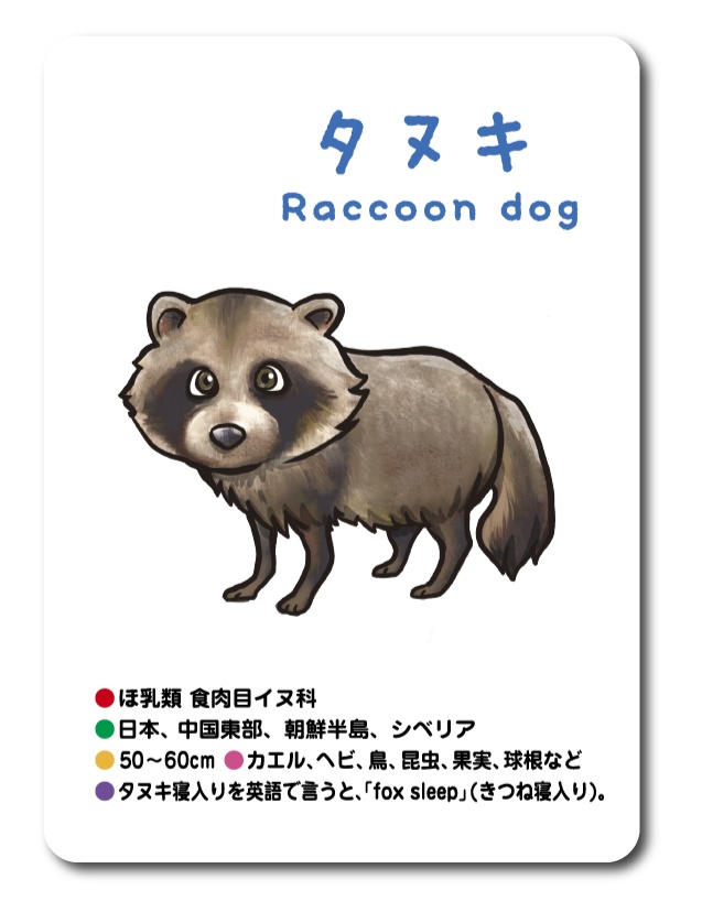 どこどこ?アッタ!