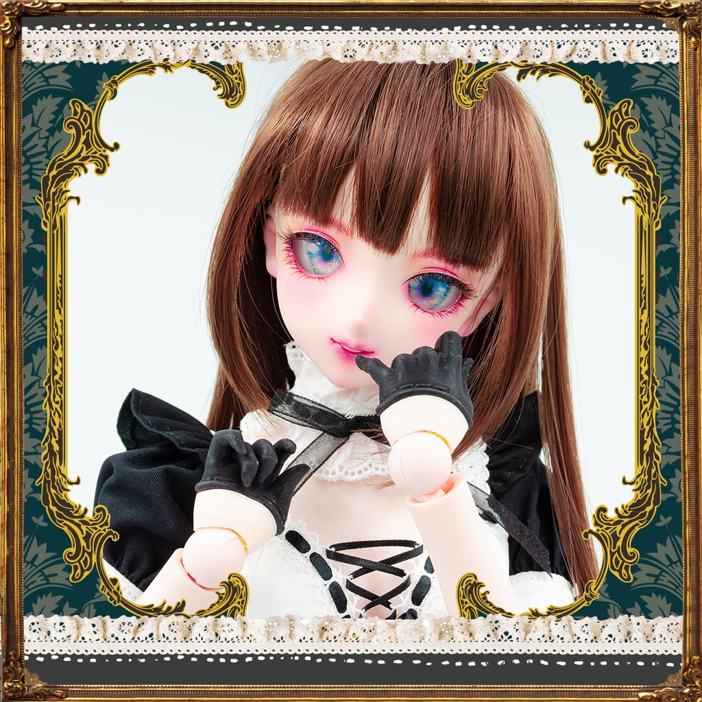 DD/DDS 用 側付メイドのお掃除SET