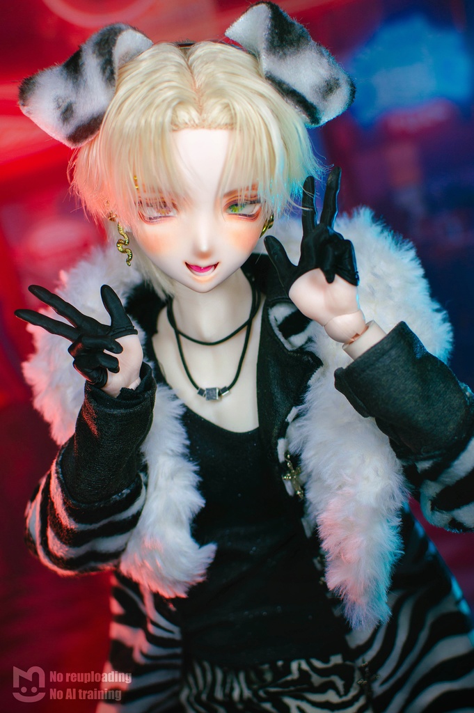 DD用 メンズハーフグローブハンドSET