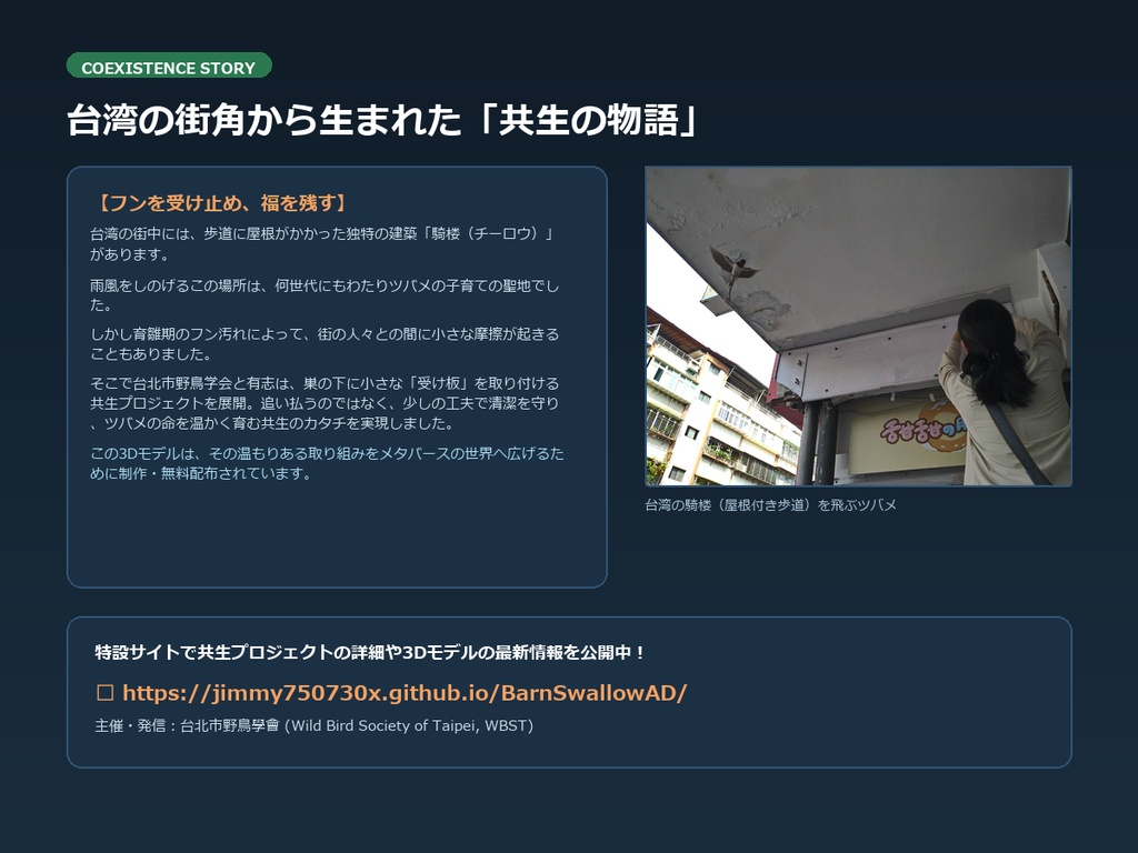 【無料3D】台湾の街角に舞うツバメ (Barn Swallow) - 9,800Tris / VRChat・商用・改変OK / 台北市野鳥学会(WBST)