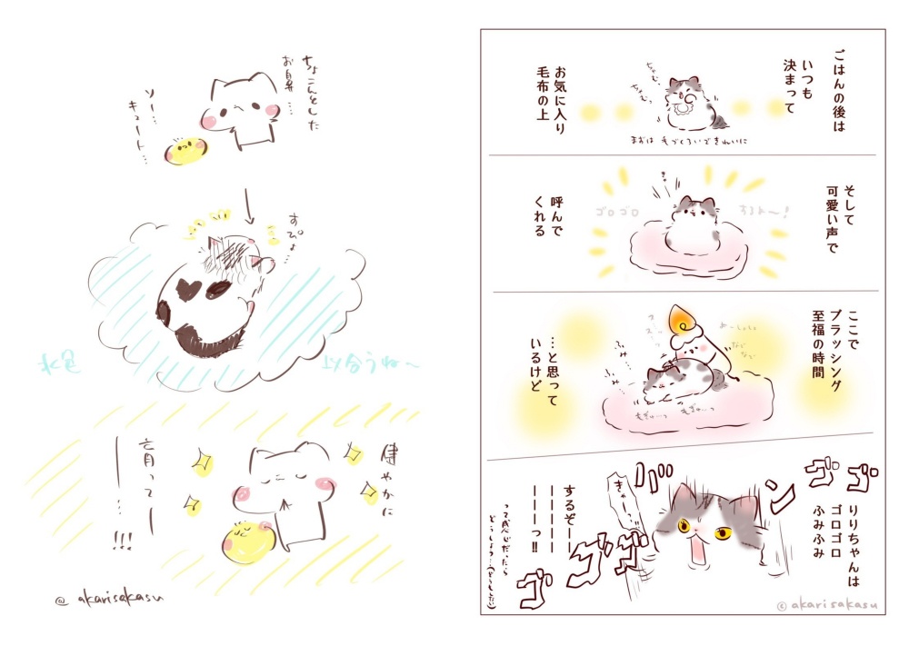 愛猫りりぽぽ日記