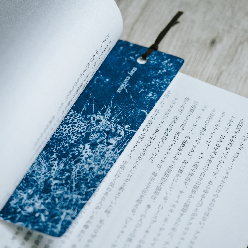 アフリカで出会った動物の栞