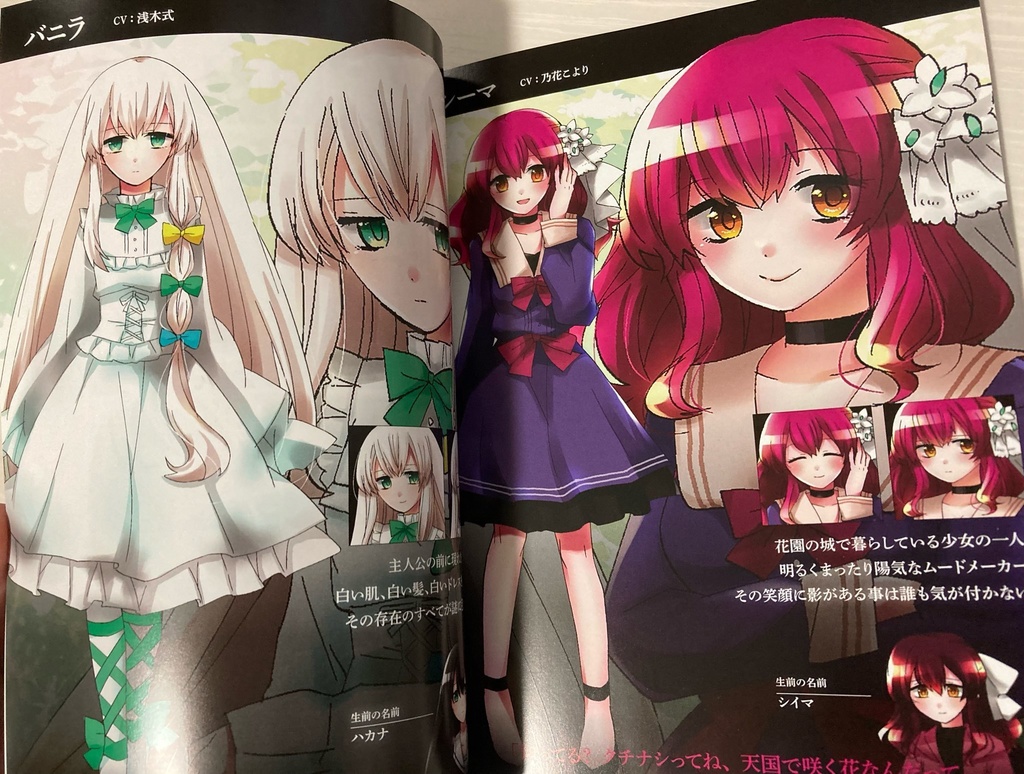 「バニラ 審判の園」+「万華鏡ステラ」PCゲーム特装版スペシャルパッケージ