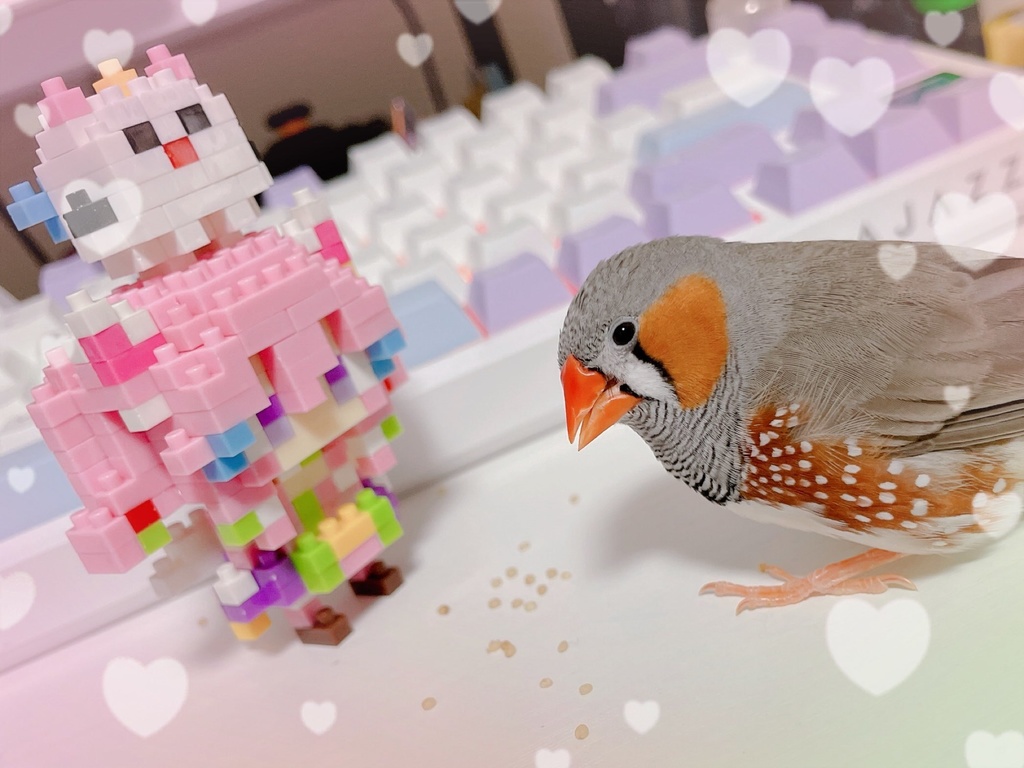 【受注生産限定】紺野ゆに生誕祭記念グッズ!2025