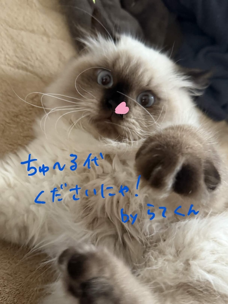 いちごみるく𝓜𝓪𝓽𝓮𝓻𝓲𝓪𝓵 《7アバター対応》