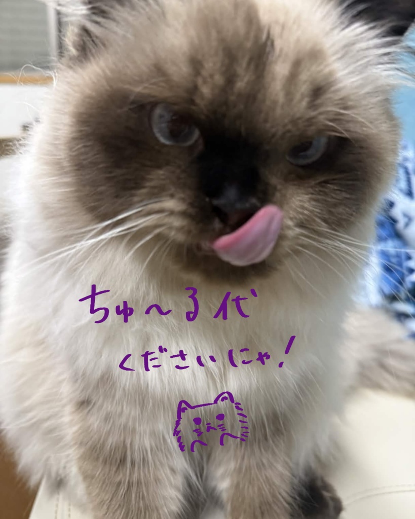 ぶどうまてりある🍇《6アバター対応》