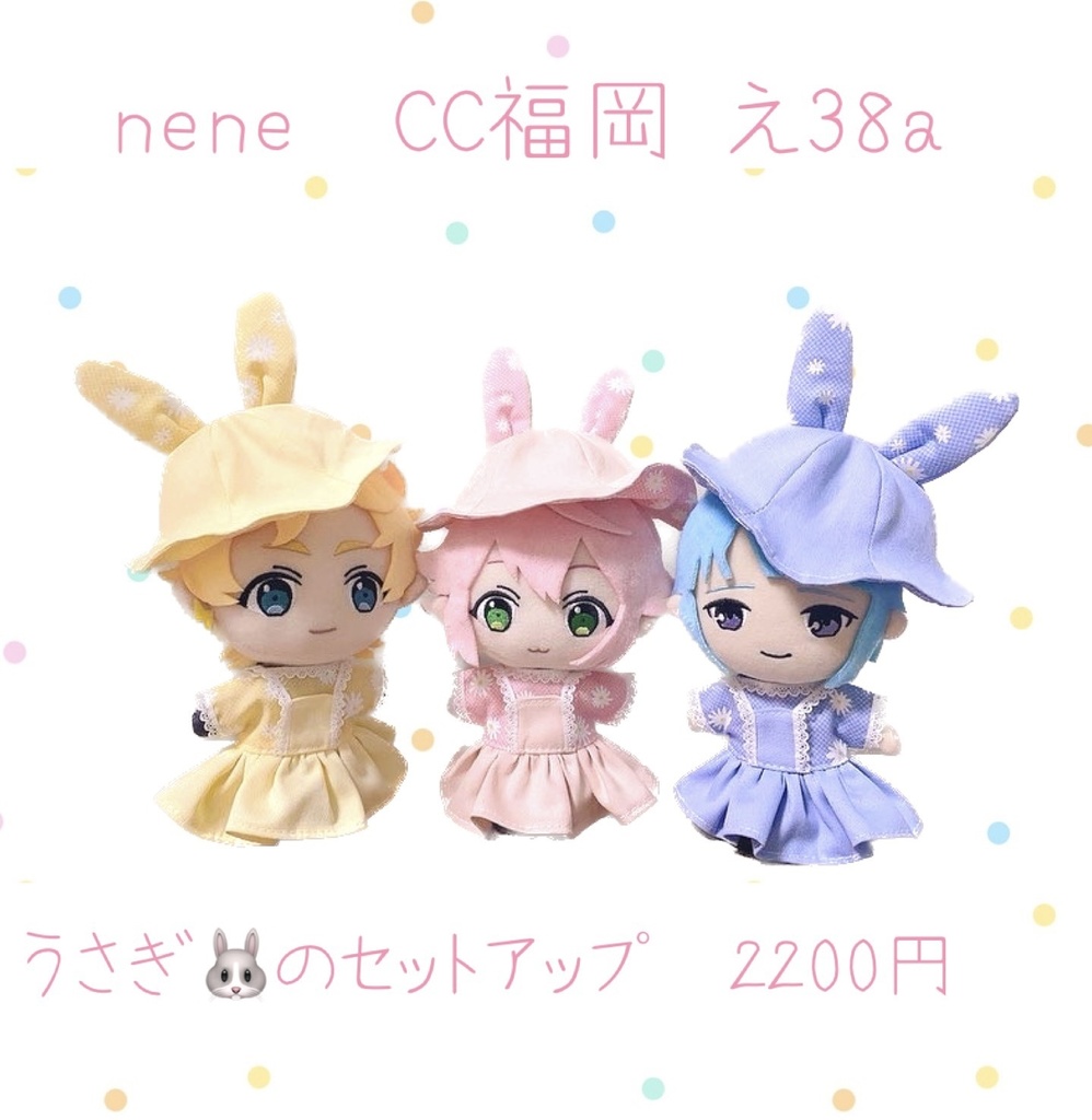 うさぎのセットアップ🐰