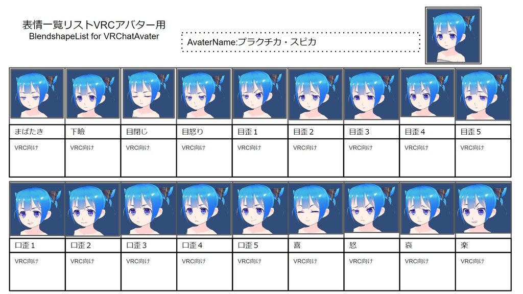 プラクチカ・ステラ(パーカー仕様)