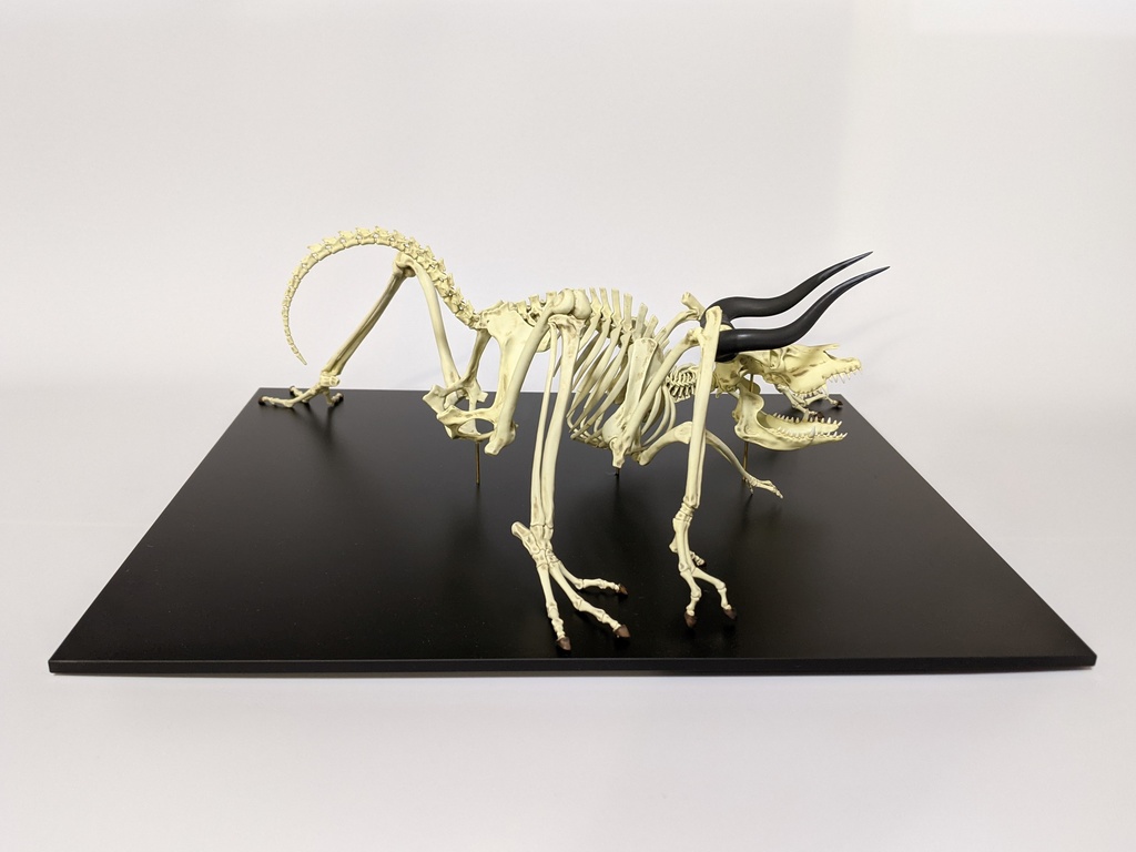 空想骨格標本 牛鬼 全身