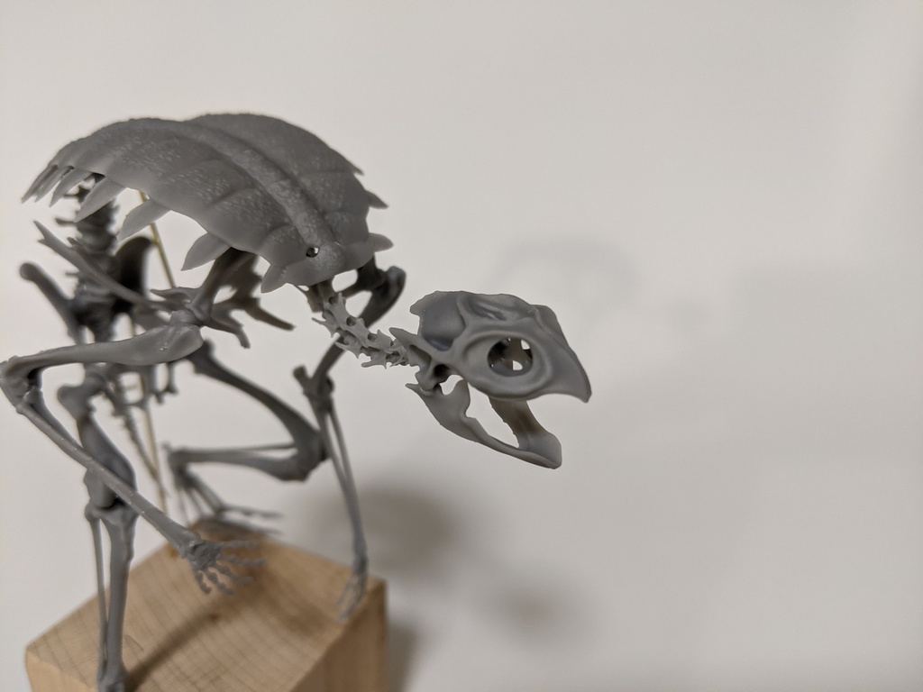 空想骨格標本 河童 全身