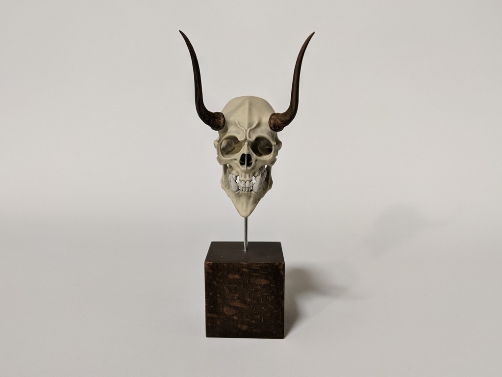 空想骨格標本 鬼 頭骨