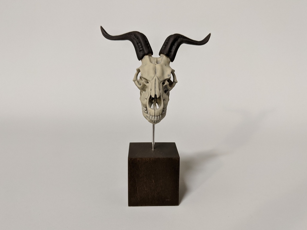 空想骨格標本 バフォメット 頭骨