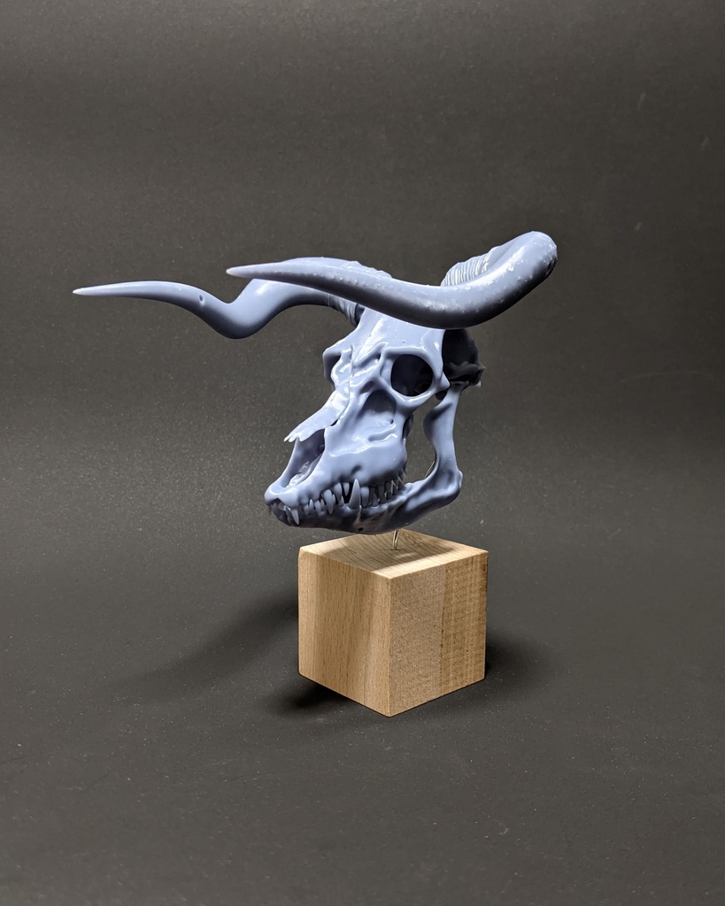 空想骨格標本 牛鬼 頭骨