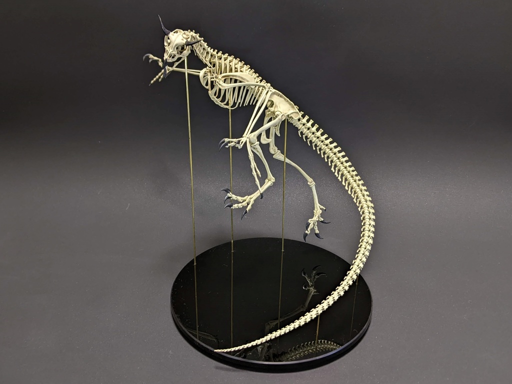 空想骨格標本 アモン 全身