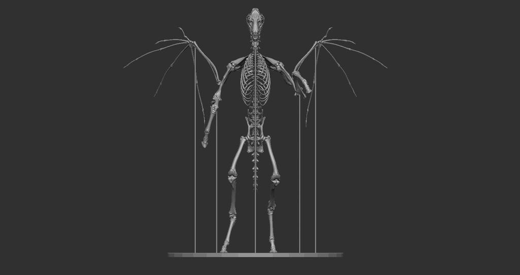 空想骨格標本 ジャージーデビル 全身
