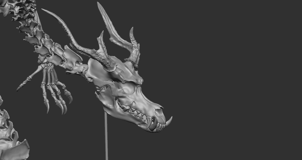 空想骨格標本 龍 全身