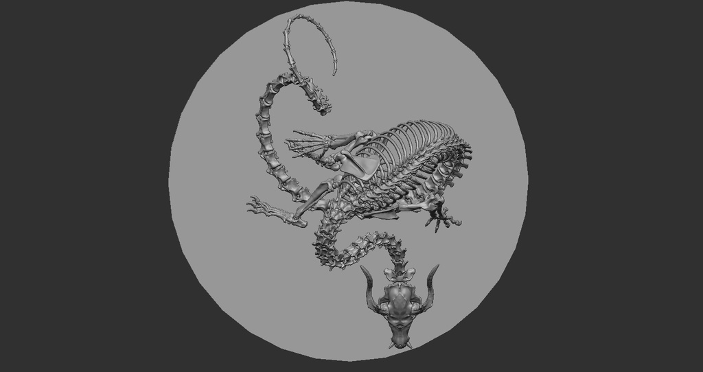 空想骨格標本 龍 全身