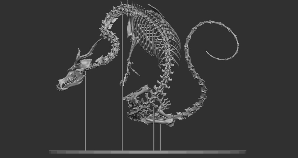 空想骨格標本 龍 全身