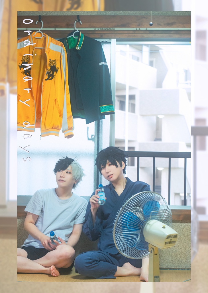 ordinary days