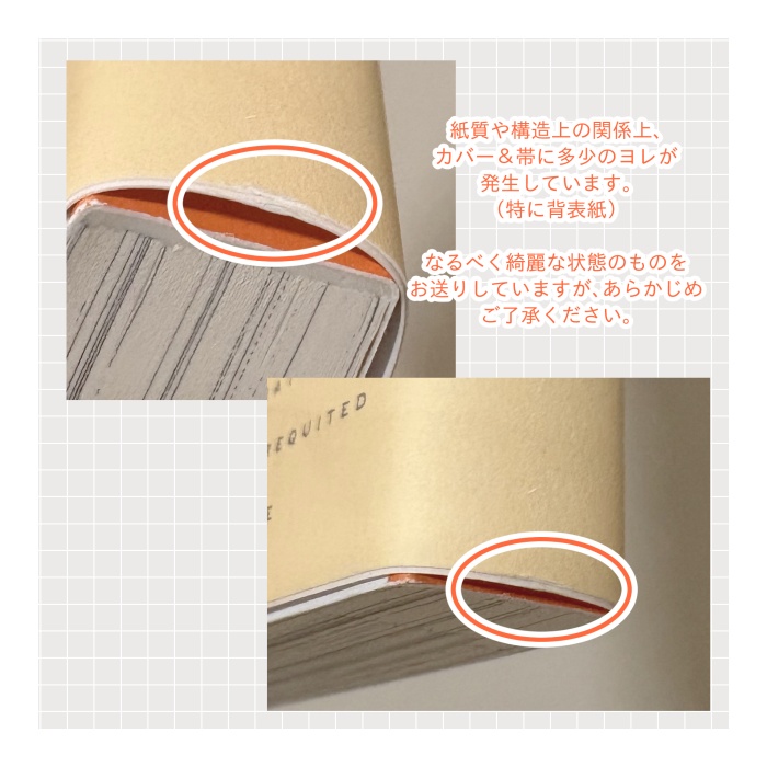 【再販終了】届かない恋と知っていても(上)