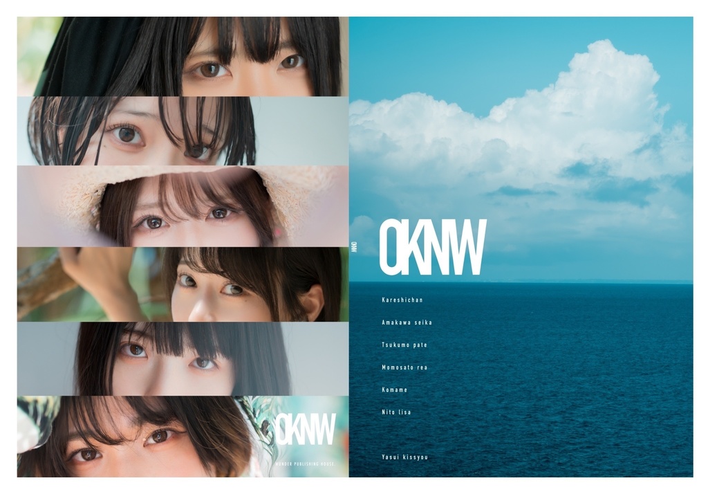 沖縄合同写真集「OKINAWA」A4サイズ100P超