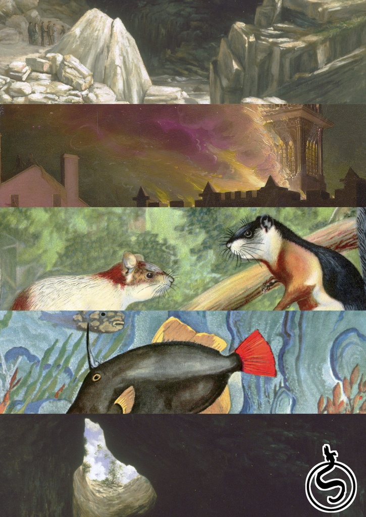 5e Zine vol.03 ver.SV