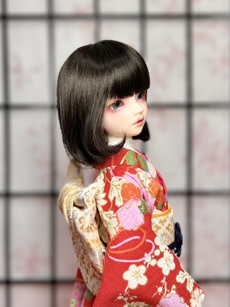 お着物セット 和柄【SDM・MSDサイズ】˚✧₊⁎