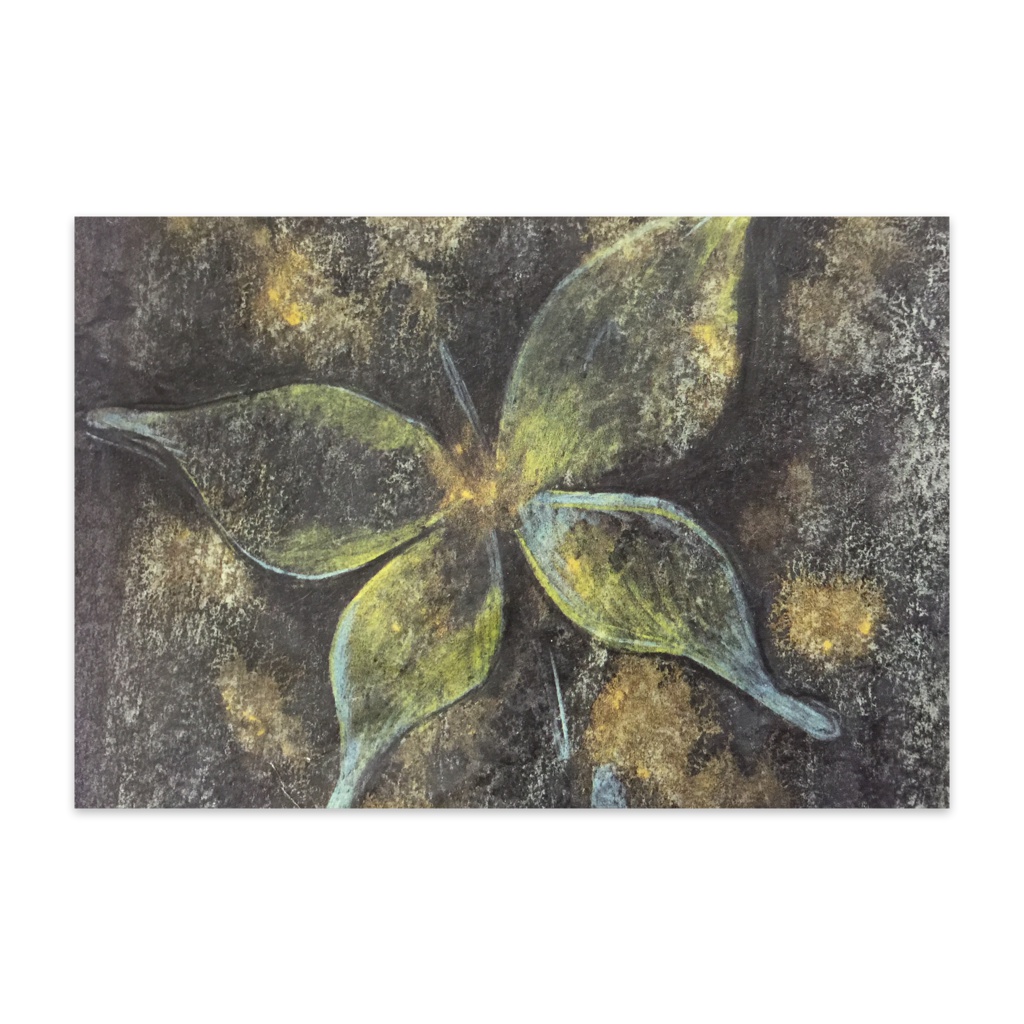 蝶〜暗闇の中で〜 10枚セット