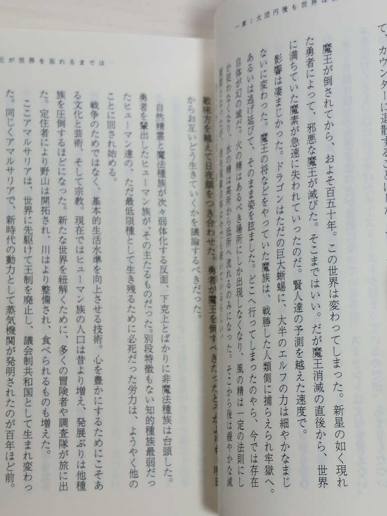 『魔王が世界を忘れるまでは』