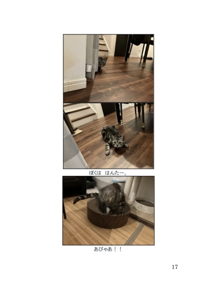 ねこねるにっき