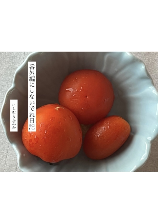 番外編にしないでね日記