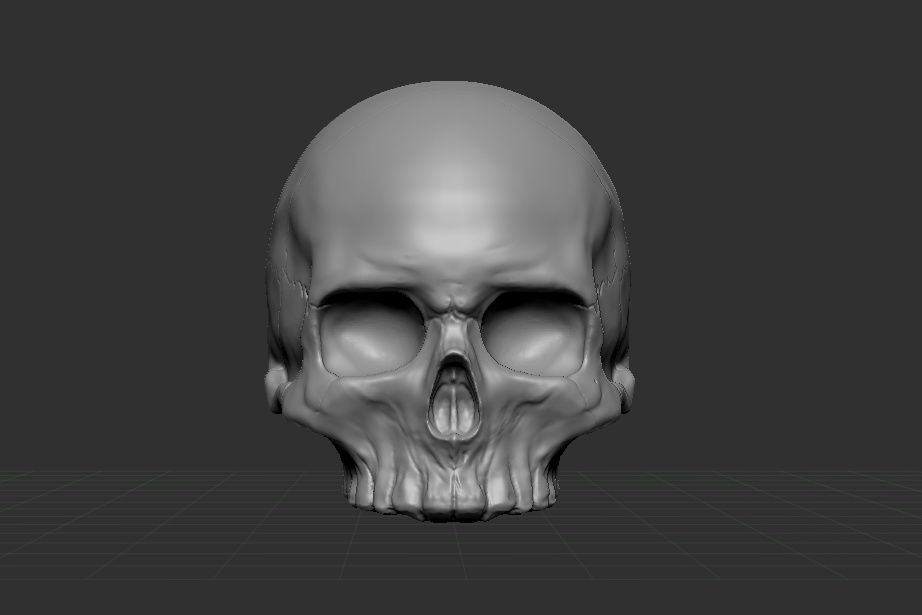 頭蓋骨のスカルプトデータ(Zbrush)