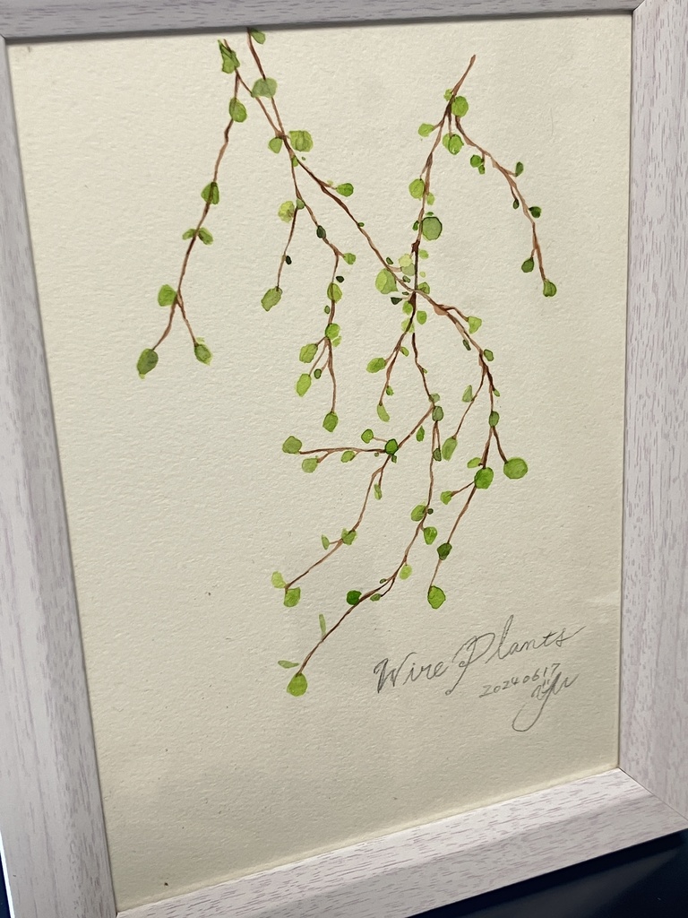 植物×水彩コレクション