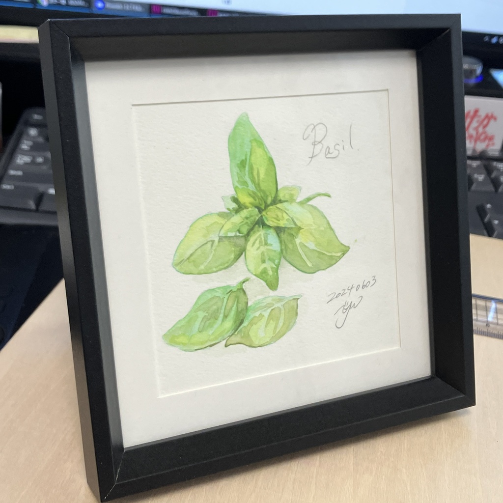 植物×水彩コレクション