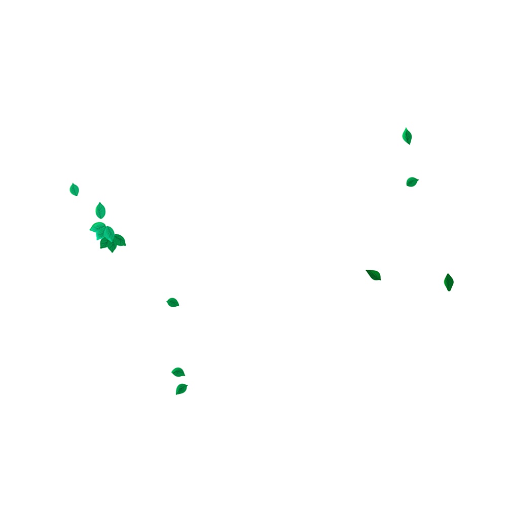 自然の木々の画面枠素材【製品版】