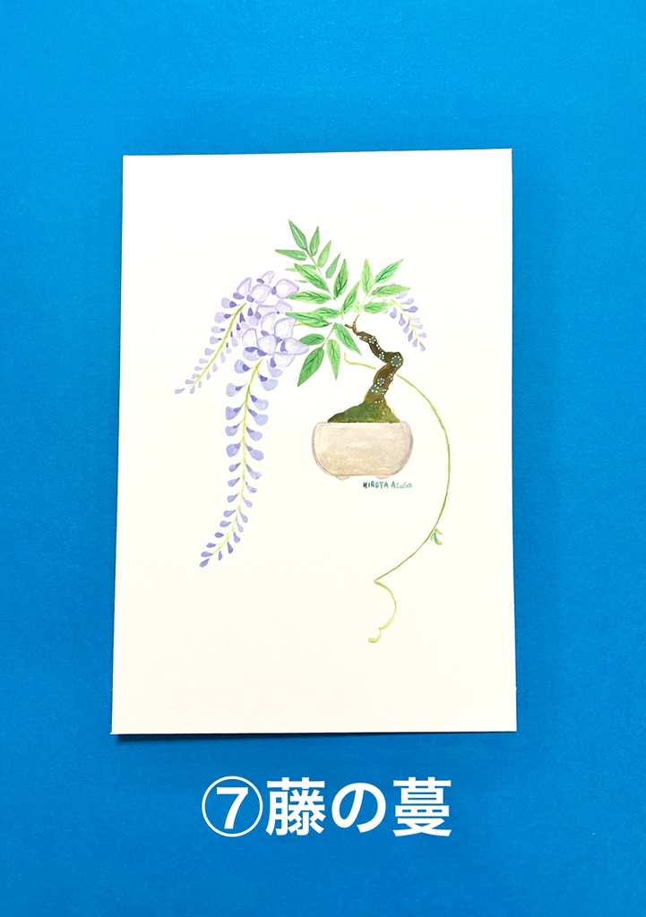 ポストカードサイズ原画(鉢植え系)