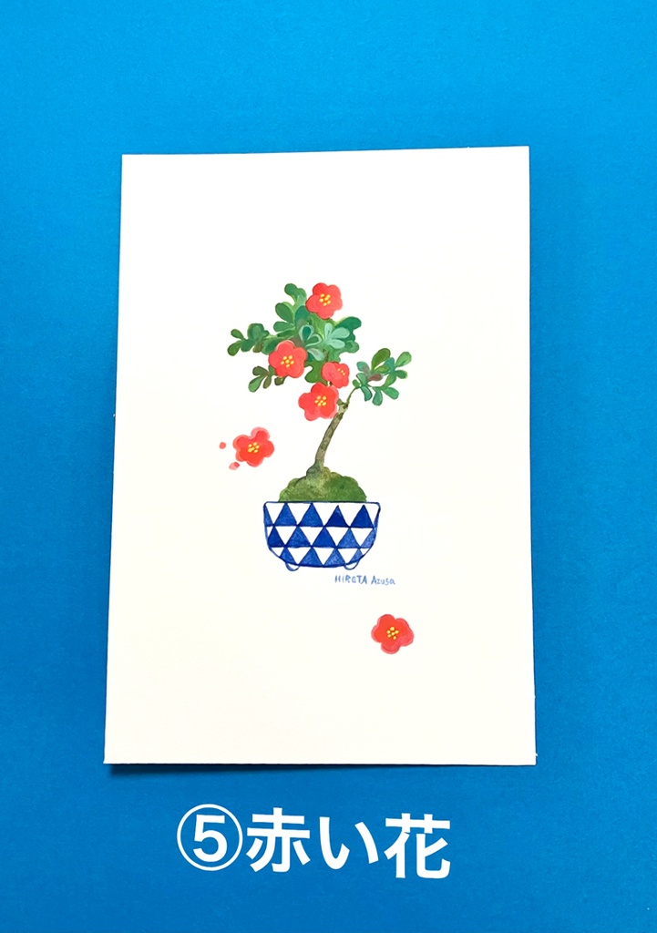 ポストカードサイズ原画(鉢植え系)