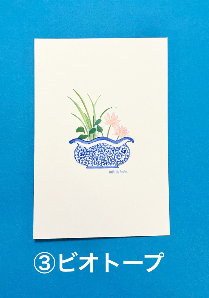 ポストカードサイズ原画(鉢植え系)
