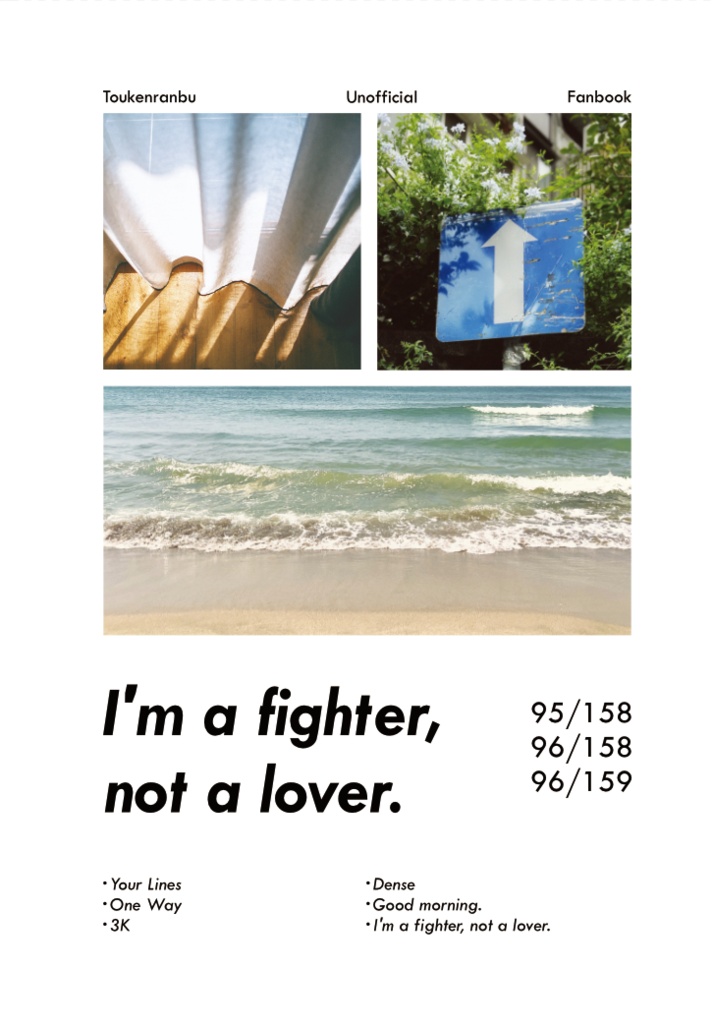 I'm a fighter, not a lover.