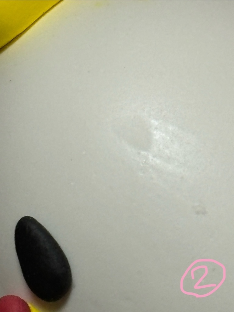 モロコッコくん大2