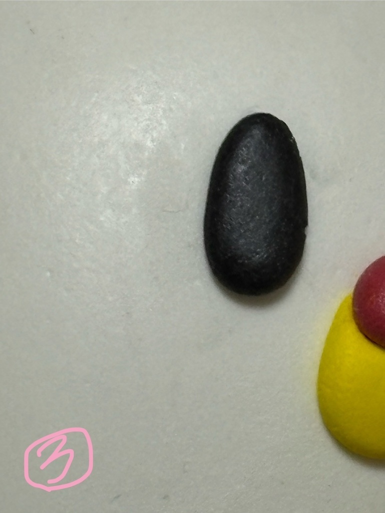 モロコッコくん大3