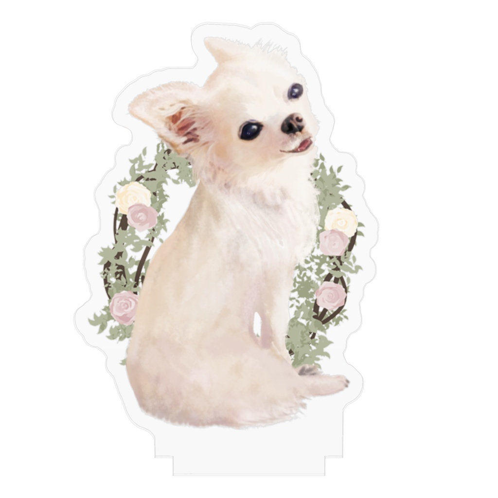 7センチぼんちゃんバラ